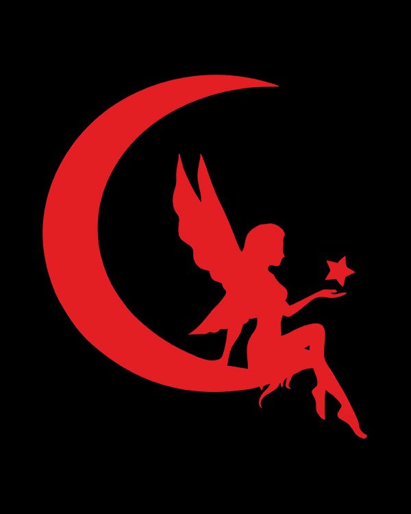 Princess of Moon Black Pure Cotton Tshirt for Women Design